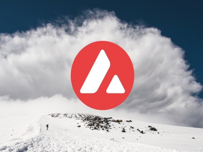 Saved From Crypto Winter: Avalanche, Proprivex Token, and AAVE